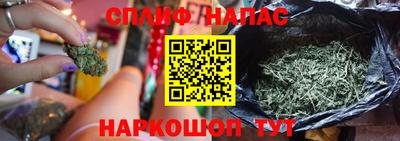 стафф Жуковский