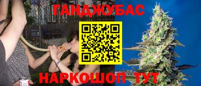 стафф Жуковский