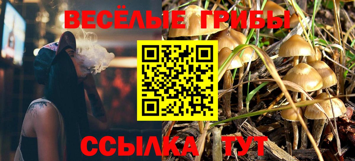 Псилоцибиновые грибы прущие грибы Лосино-Петровский