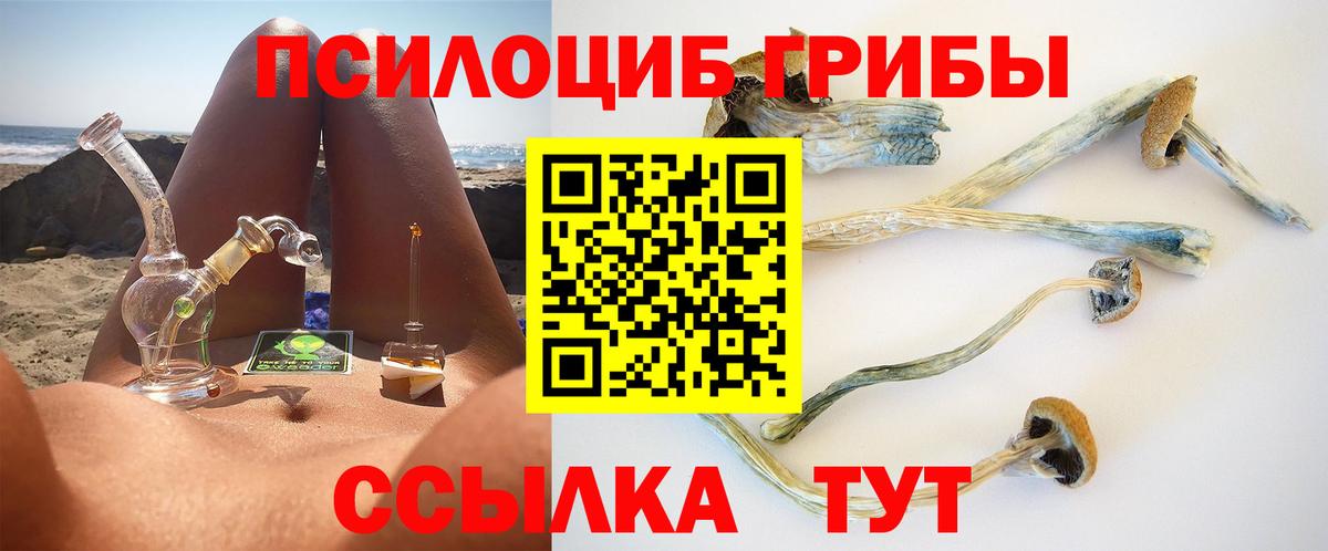 Галлюциногенные грибы Psilocybe  Вход с VPN  Лосино-Петровский 